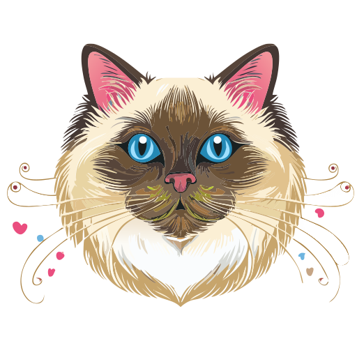  allo animoPlastic birman